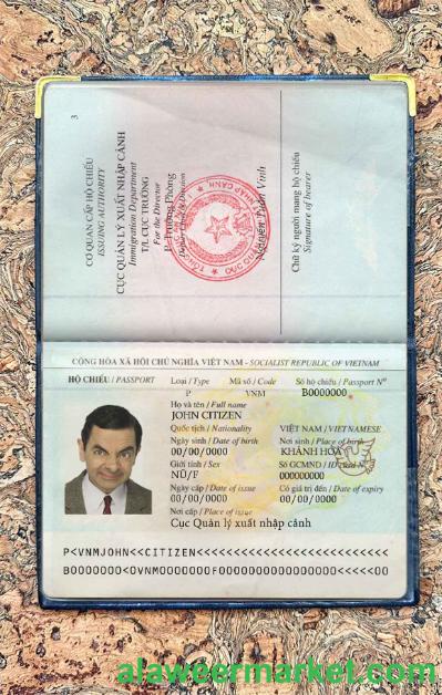 Vietnam passport photo look